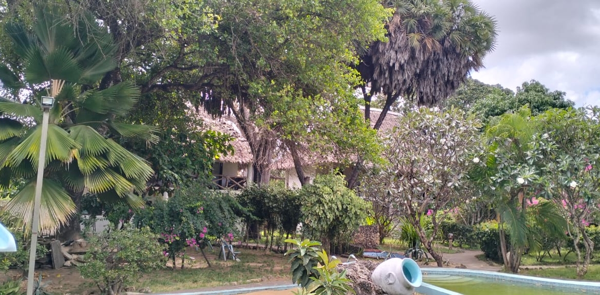 Boutique resort for sale Kenya, coastal property investment, resort with pool Kenya, freehold title property, apartments for sale [Insert Location], hospitality investment Kenya, resort for renovation Kenya