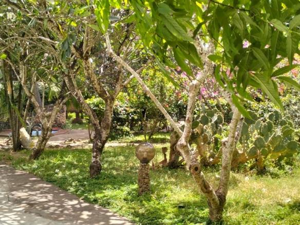 Boutique resort for sale Kenya, coastal property investment, resort with pool Kenya, freehold title property, apartments for sale [Insert Location], hospitality investment Kenya, resort for renovation Kenya