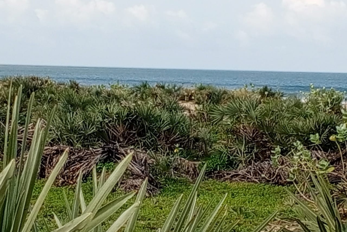 Beachfront plots for sale in Malindi CBD