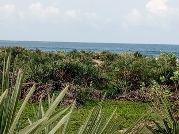 Beachfront plots for sale in Malindi CBD