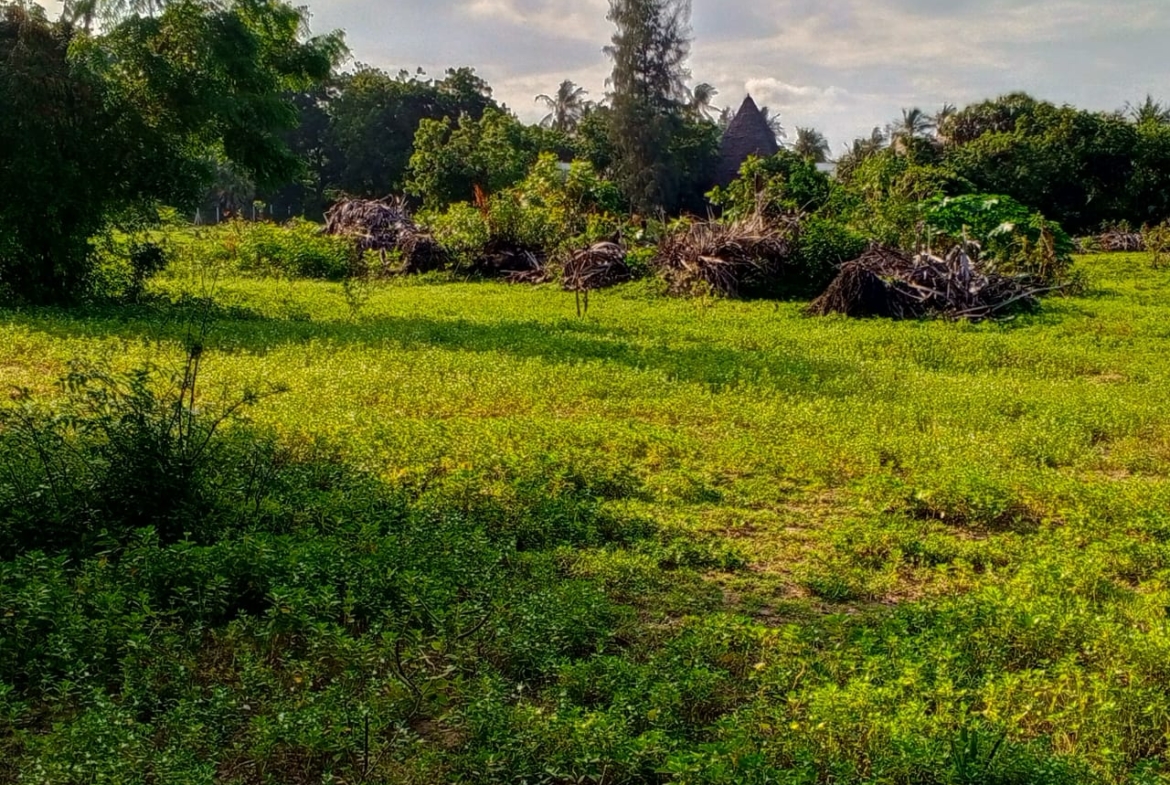 Beachfront plots for sale in Malindi CBD