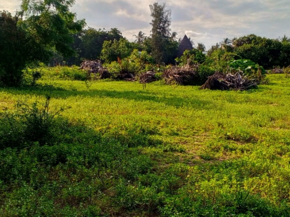 Beachfront plots for sale in Malindi CBD