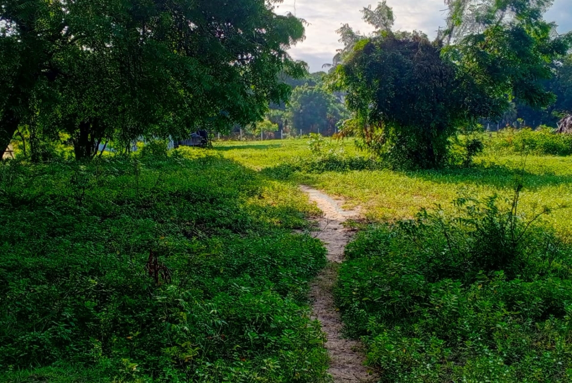 Beachfront plots for sale in Malindi CBD