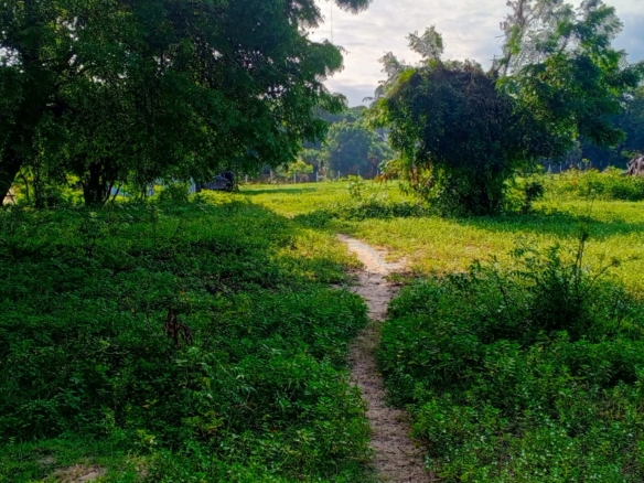 Beachfront plots for sale in Malindi CBD