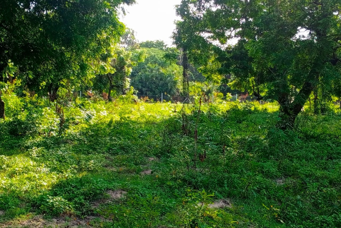 Beachfront plots for sale in Malindi CBD