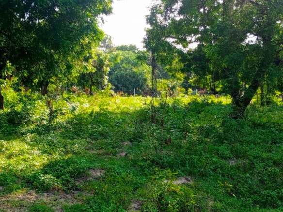 Beachfront plots for sale in Malindi CBD