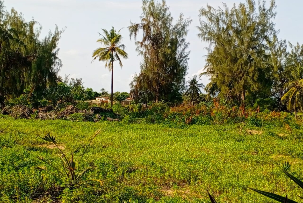 Beachfront plots for sale in Malindi CBD