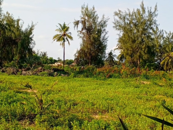 Beachfront plots for sale in Malindi CBD