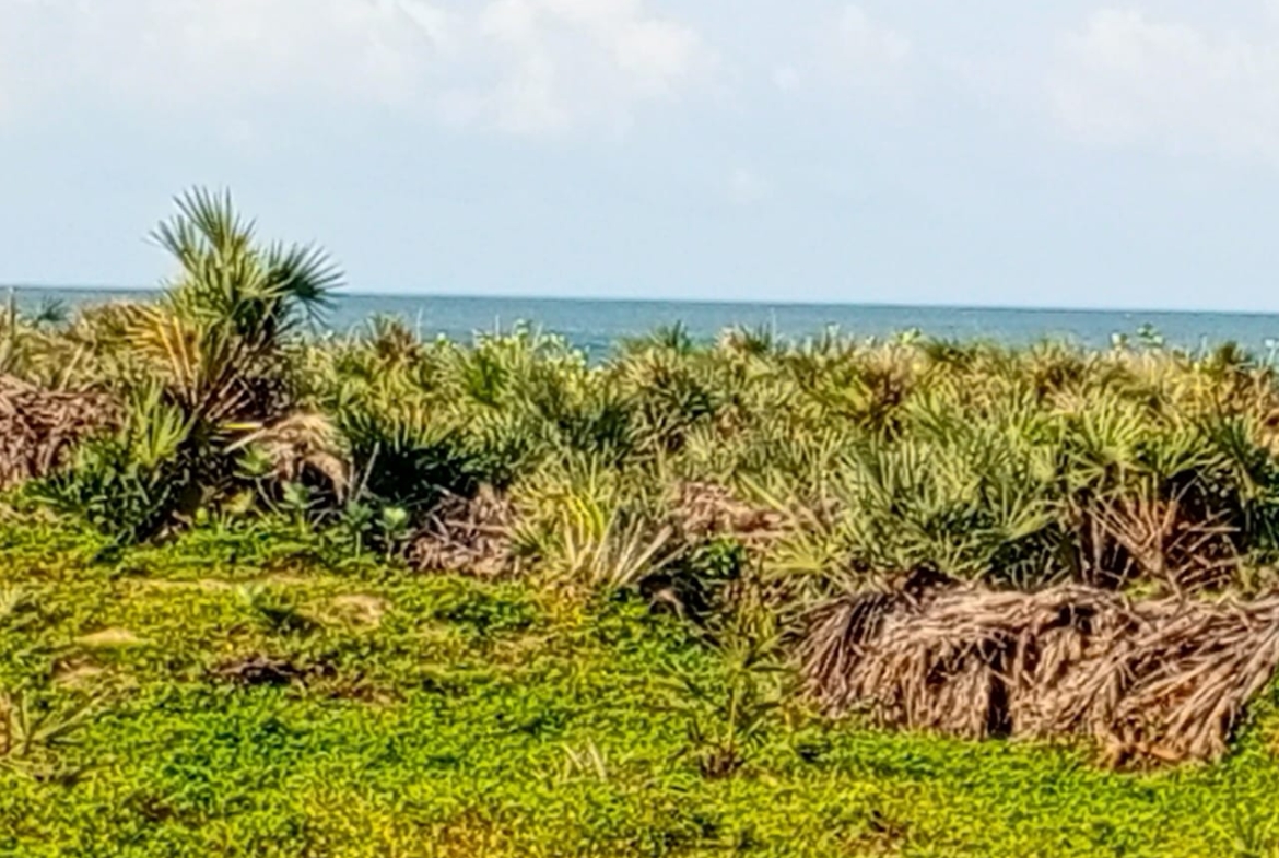 Beachfront plots for sale in Malindi CBD
