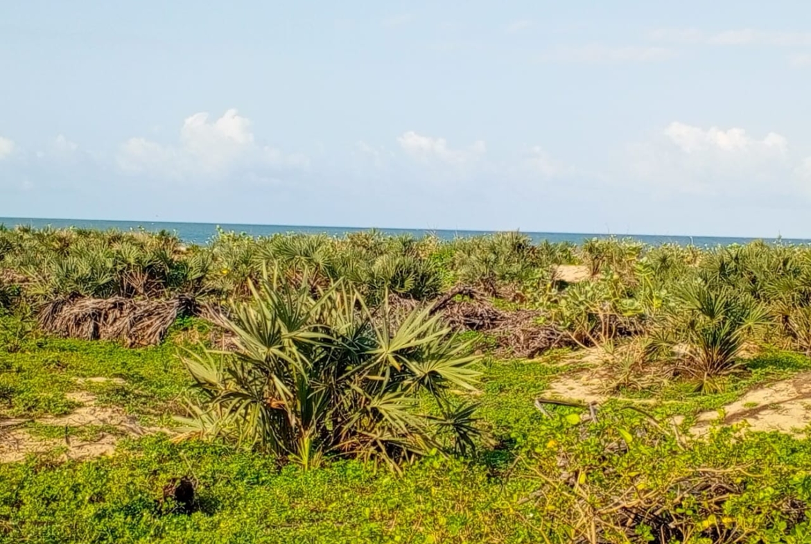 Beachfront plots for sale in Malindi CBD