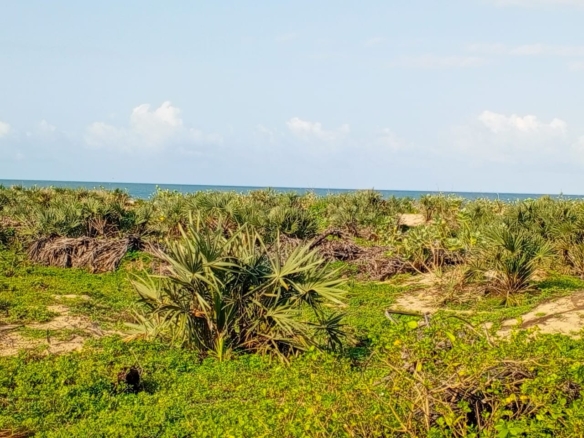 Beachfront plots for sale in Malindi CBD