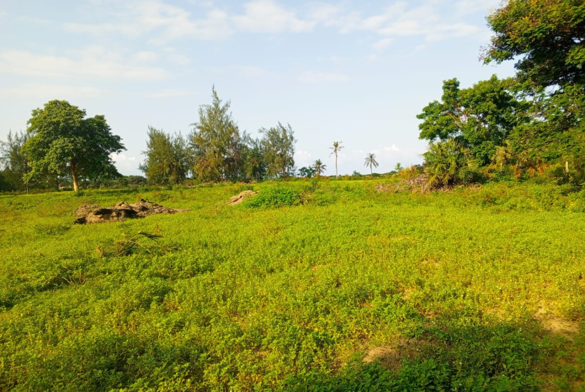 Beachfront plots for sale in Malindi CBD