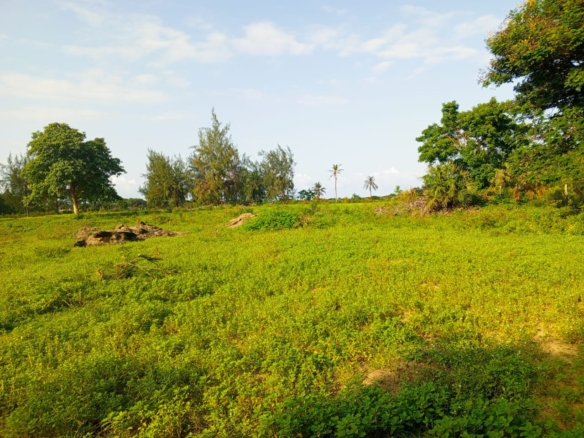 Beachfront plots for sale in Malindi CBD
