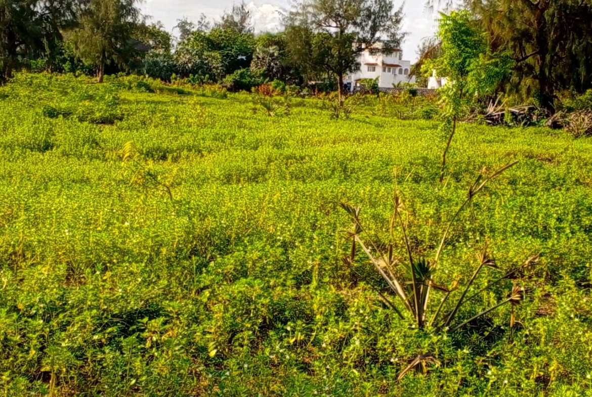 Beachfront plots for sale in Malindi CBD