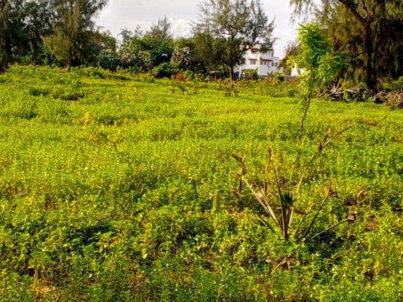 Beachfront plots for sale in Malindi CBD