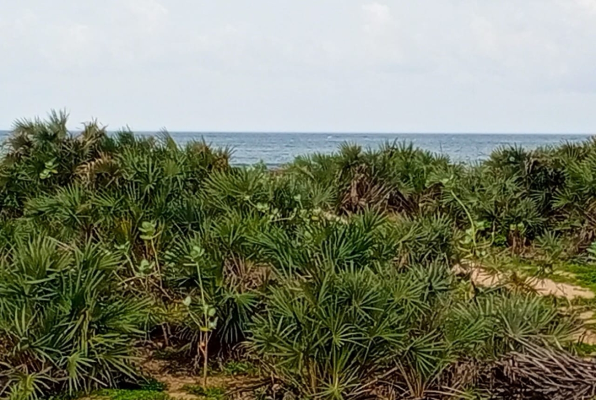 Beachfront plots for sale in Malindi CBD