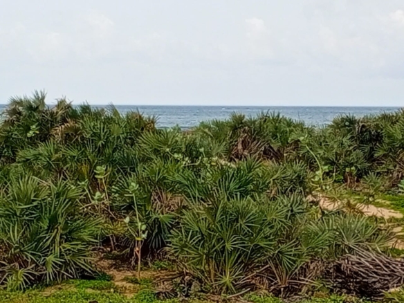 Beachfront plots for sale in Malindi CBD