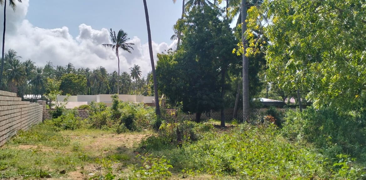 1 acre walled plot for sale in Watamu (Dongo Kundu). Secure coastal land ideal for villa, lodge or investment. KES 25M. Video tour & viewings — contact Mkaazi.