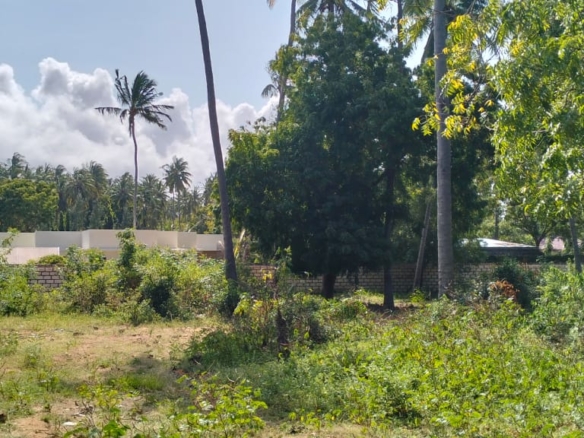 1 acre walled plot for sale in Watamu (Dongo Kundu). Secure coastal land ideal for villa, lodge or investment. KES 25M. Video tour & viewings — contact Mkaazi.