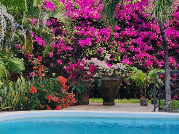 4-bedroom villa for sale on 1 acre; villa with pool for sale; fully furnished villa; one acre property; exclusive neighbourhood villa; Mkaazi real estate