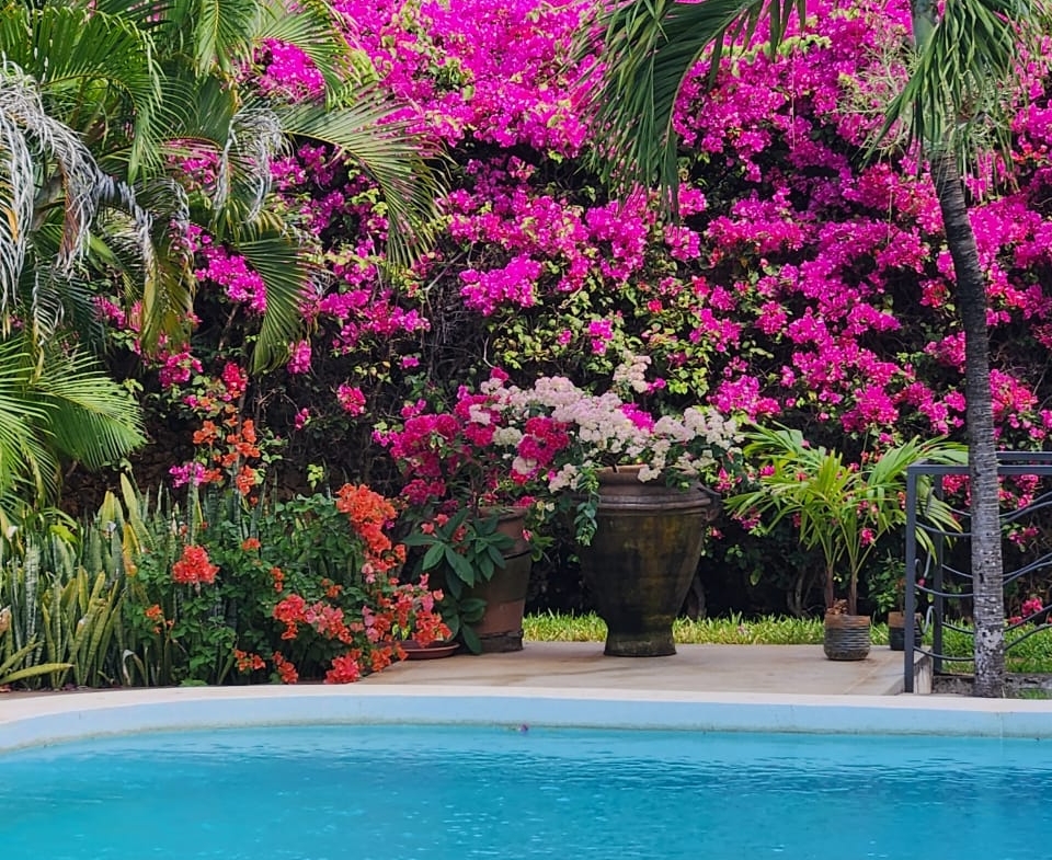4-bedroom villa for sale on 1 acre; villa with pool for sale; fully furnished villa; one acre property; exclusive neighbourhood villa; Mkaazi real estate