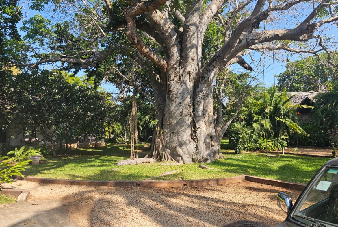 4-bedroom villa for sale on 1 acre; villa with pool for sale; fully furnished villa; one acre property; exclusive neighbourhood villa; Mkaazi real estate