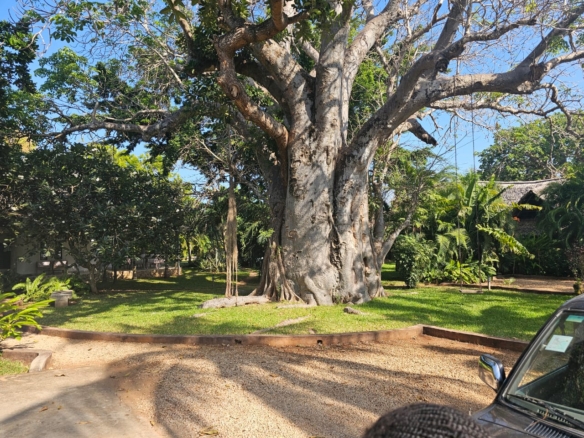 4-bedroom villa for sale on 1 acre; villa with pool for sale; fully furnished villa; one acre property; exclusive neighbourhood villa; Mkaazi real estate