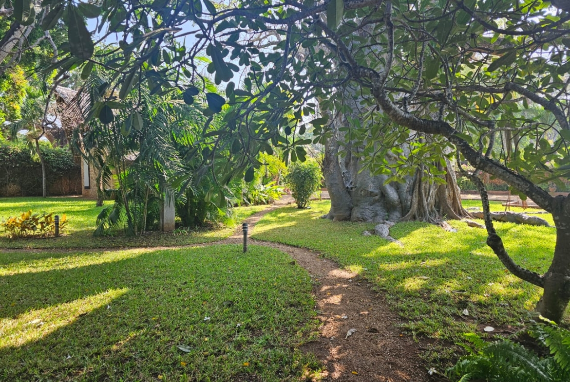 4-bedroom villa for sale on 1 acre; villa with pool for sale; fully furnished villa; one acre property; exclusive neighbourhood villa; Mkaazi real estate