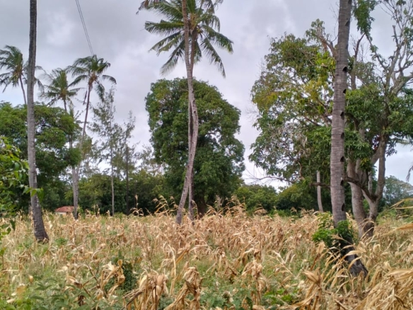 Mombasa road frontage land for sale in Watmau, gede