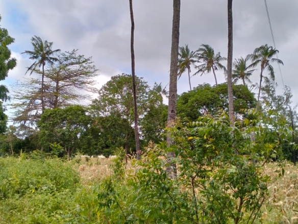 Mombasa road frontage land for sale in Watmau, gede