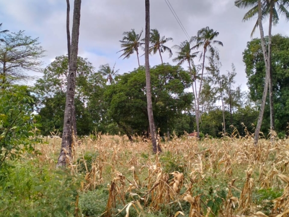 Mombasa road frontage land for sale in Watmau, gede