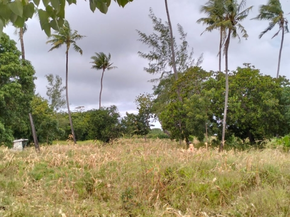 Mombasa road frontage land for sale in Watmau, gede