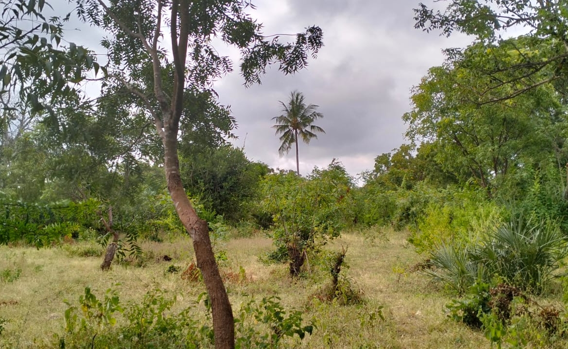 1 Acre For Sale in Watamu Gede Ruins