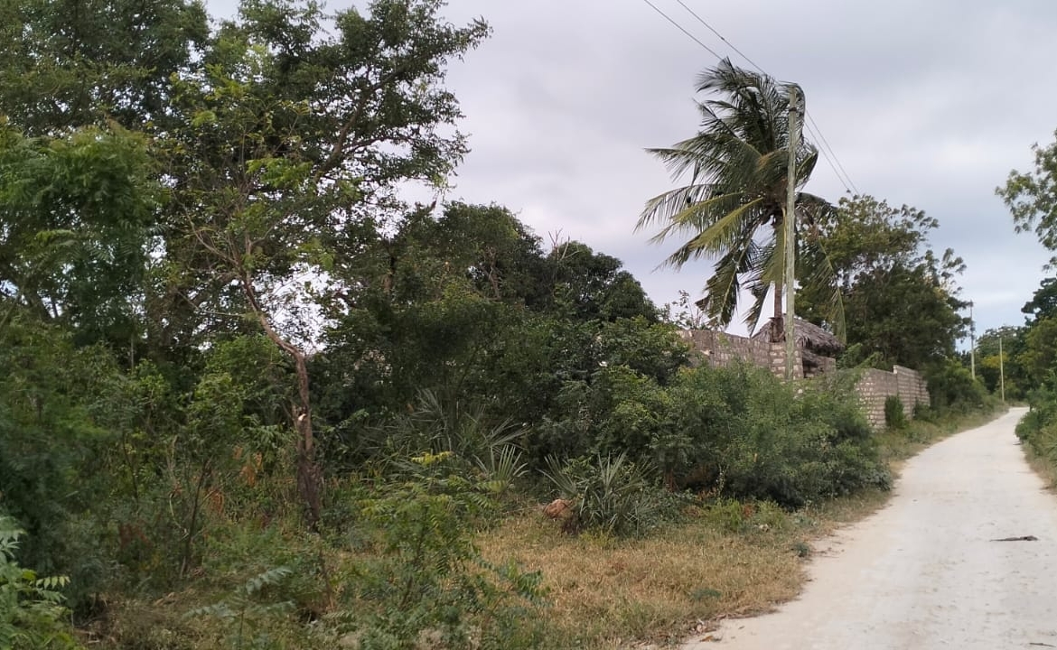1 acre land near Gede Ruins with visible road frontage and surrounding greenery