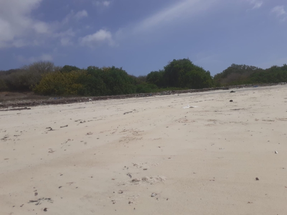 25 Acres beachfront land for sale in Lamu, Pate Island