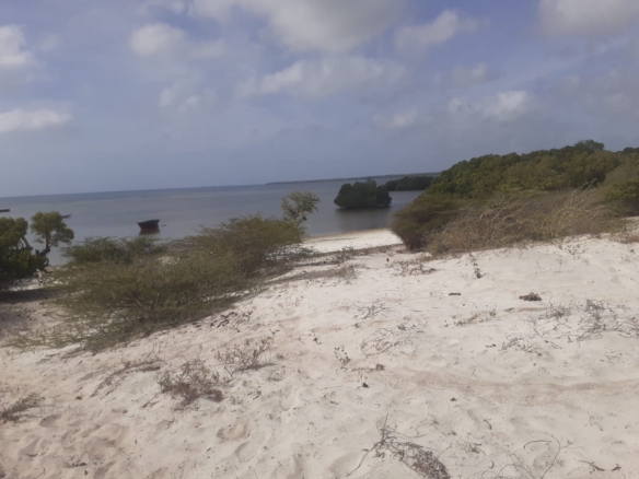 25 Acres beachfront land for sale in Lamu, Pate Island