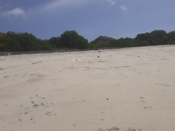 25 Acres beachfront land for sale in Lamu, Pate Island