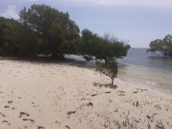 25 Acres beachfront land for sale in Lamu, Pate Island