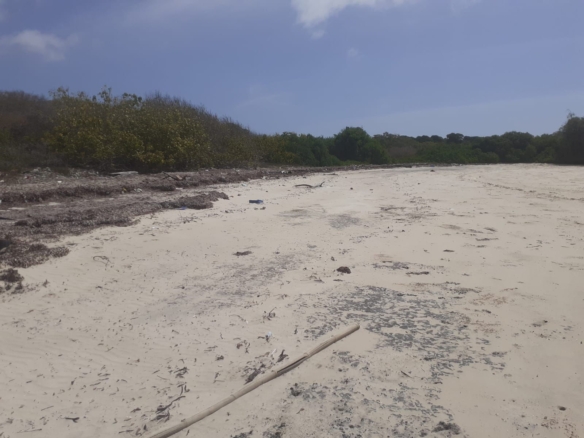 25 Acres beachfront land for sale in Lamu, Pate Island