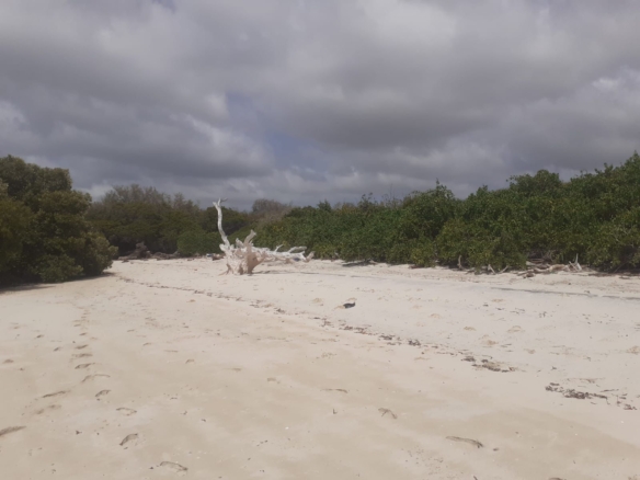 25 Acres beachfront land for sale in Lamu, Pate Island