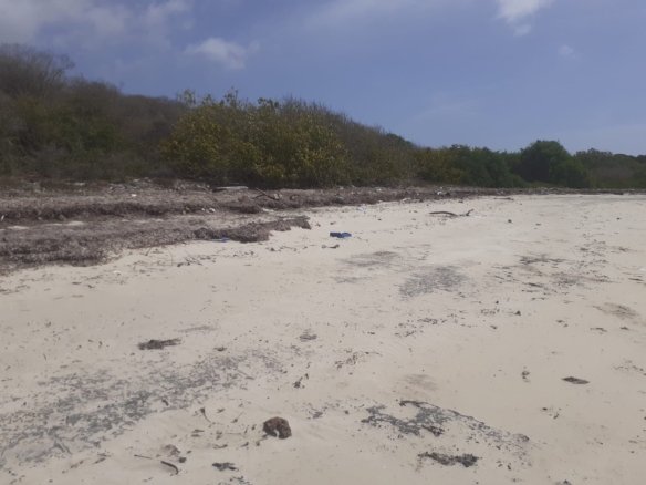 25 Acres beachfront land for sale in Lamu, Pate Island