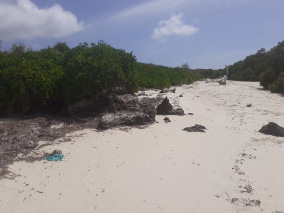 25 Acres beachfront land for sale in Lamu, Pate Island