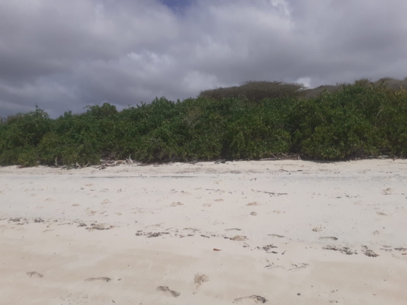 25 Acres beachfront land for sale in Lamu, Pate Island