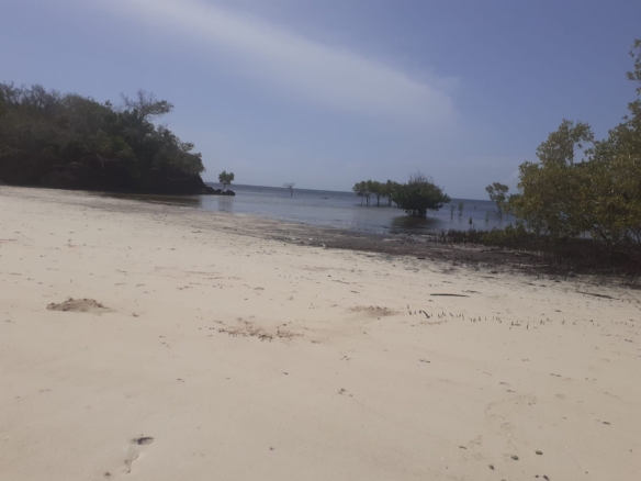 25 Acres beachfront land for sale in Lamu, Pate Island