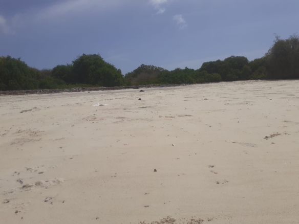 25 Acres beachfront land for sale in Lamu, Pate Island