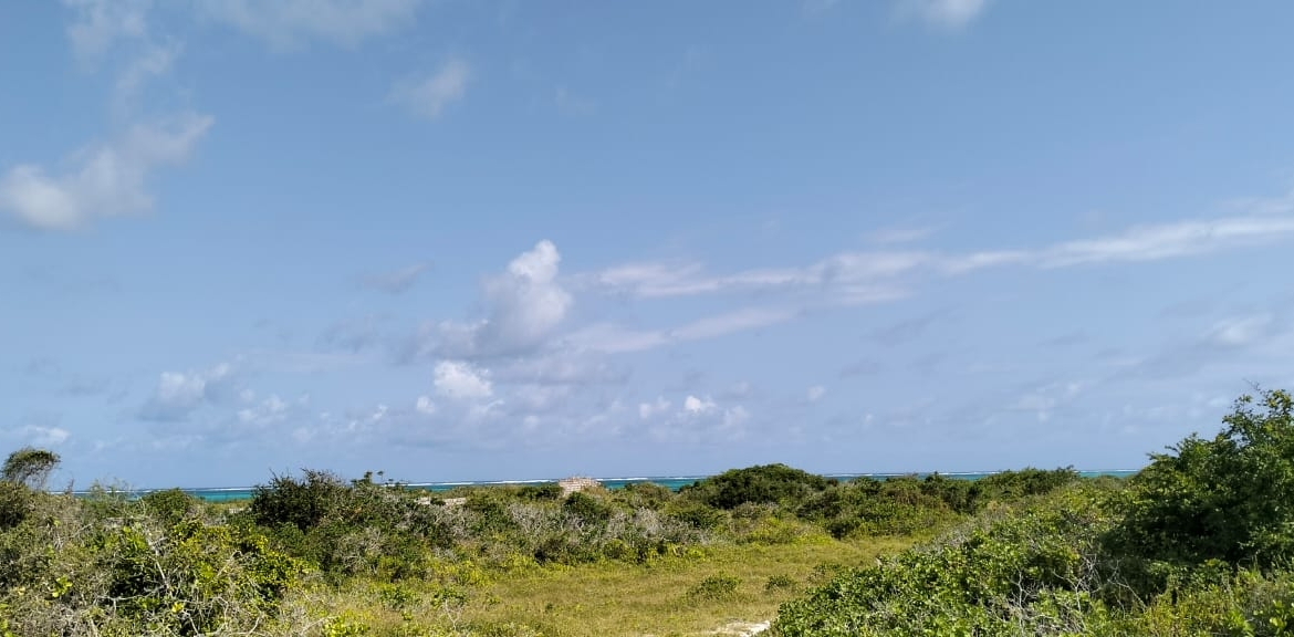 Exceptional 12-acre beachfront at Malaika Beach, Watamu — buy whole at Ksh 20M/acre (Ksh 240M) or individual 4-acre lots at Ksh 100M each. Ideal for luxury villas, boutique resorts or private estates.