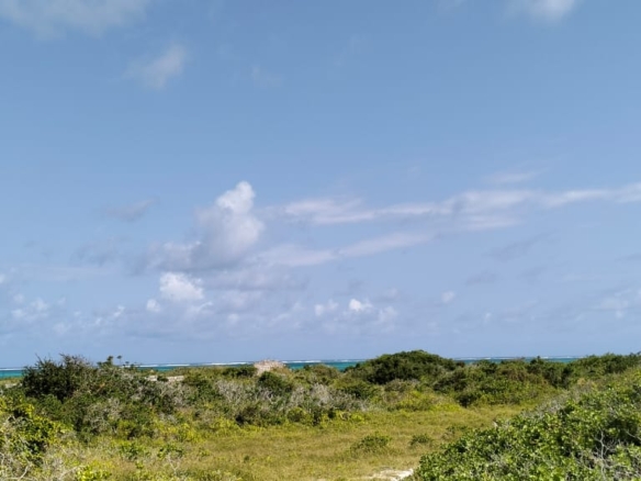 Exceptional 12-acre beachfront at Malaika Beach, Watamu — buy whole at Ksh 20M/acre (Ksh 240M) or individual 4-acre lots at Ksh 100M each. Ideal for luxury villas, boutique resorts or private estates.