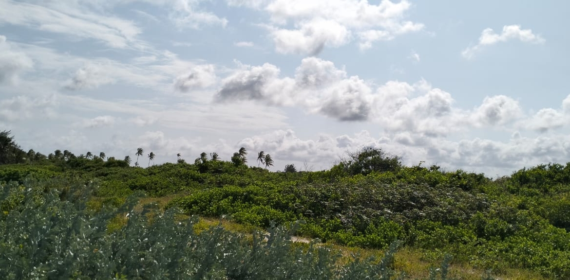 Exceptional 12-acre beachfront at Malaika Beach, Watamu — buy whole at Ksh 20M/acre (Ksh 240M) or individual 4-acre lots at Ksh 100M each. Ideal for luxury villas, boutique resorts or private estates.