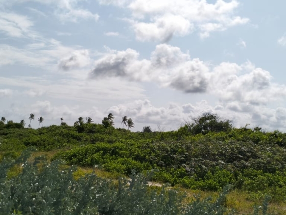 Exceptional 12-acre beachfront at Malaika Beach, Watamu — buy whole at Ksh 20M/acre (Ksh 240M) or individual 4-acre lots at Ksh 100M each. Ideal for luxury villas, boutique resorts or private estates.