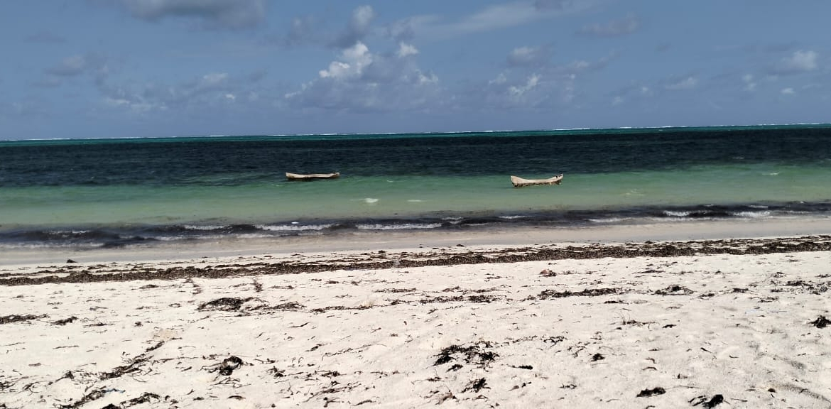 Exceptional 12-acre beachfront at Malaika Beach, Watamu — buy whole at Ksh 20M/acre (Ksh 240M) or individual 4-acre lots at Ksh 100M each. Ideal for luxury villas, boutique resorts or private estates.